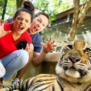 Meet your Posher, Justina